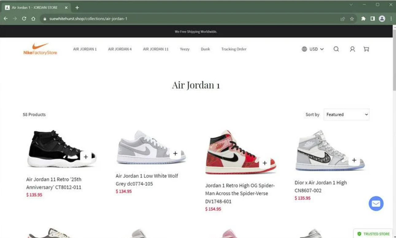 Nike Fake Website Example